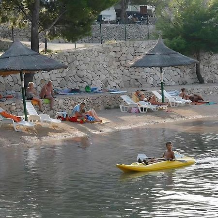 Premium Mobile Home Maslina - Oaza Mira Drage Kültér fotó